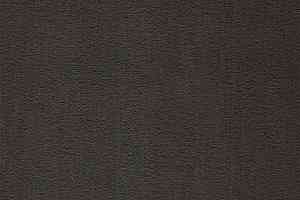 Ковролин Balta ITC Prominent 197 фото  | FLOORDEALER