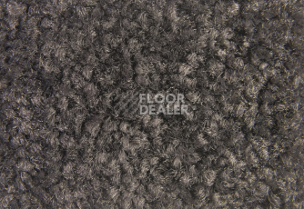 Balsan Bolero 980 фото 2 | FLOORDEALER