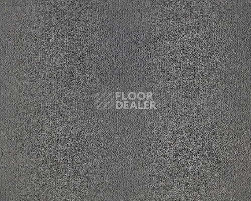 Ковролин Lano Celeste 820 Slate фото 1 | FLOORDEALER