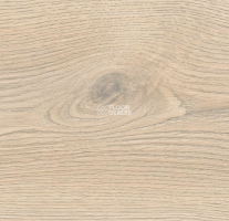 Haro Tritty 100 Campus 4V Дуб Контура Каменно-Серый 532066 фото 5 | FLOORDEALER