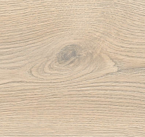 Haro Tritty 100 Campus 4V Дуб Контура Каменно-Серый 532066 фото 5 | FLOORDEALER