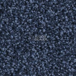Ковролин Balsan Les Must Les Must 180 фото 1 | FLOORDEALER