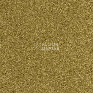 Ковролин AW VivendiI Aaura 54 фото 1 | FLOORDEALER