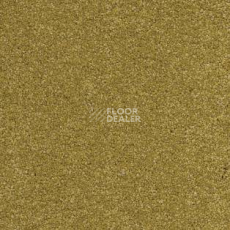 Ковролин AW VivendiI Aaura 54 фото 1 | FLOORDEALER