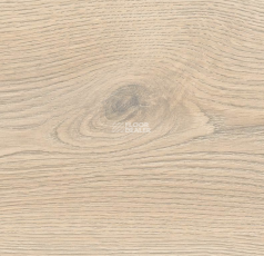 Haro Tritty 100 Campus 4V Дуб Контура Каменно-Серый 532066 фото 5 | FLOORDEALER