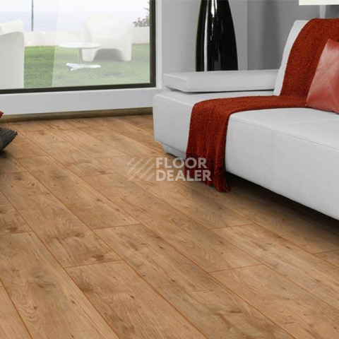 My Floor Chalet 10мм m1008 Каштан натуральный фото 3 | FLOORDEALER
