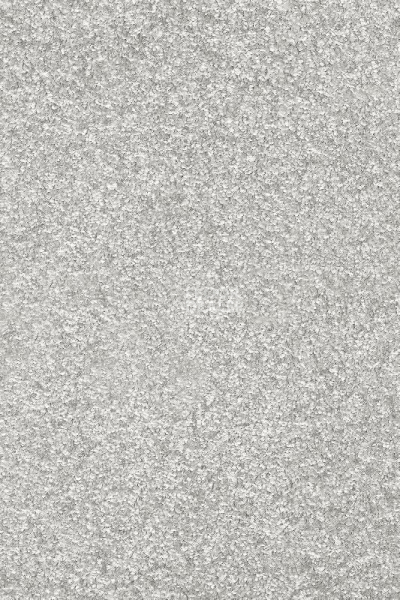 Ковролин AW Invictus Romelus 91 фото 1 | FLOORDEALER