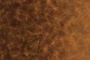 Ковролин Flotex by Starck Artist 324010 Artist Umber / Terracotta b4 фото  | FLOORDEALER
