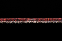 AW Medusa 11 фото 5 | FLOORDEALER