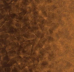 Ковролин Flotex by Starck Artist 324010 Artist Umber / Terracotta b4 фото 1 | FLOORDEALER