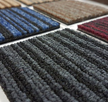 Ruscarpettiles Havana