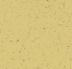 Кварцвиниловые полы Forbo Allura Colour C68021 фото 1 | FLOORDEALER