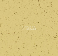 Кварцвиниловые полы Forbo Allura Colour C68021 фото 1 | FLOORDEALER