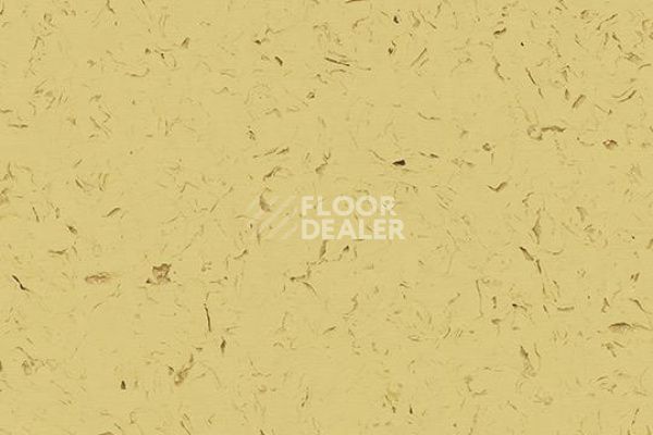 Виниловая плитка ПВХ FORBO Allura Colour C68021 фото 1 | FLOORDEALER