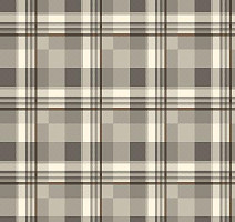 Ковролин Agnella Natural Pane Light Grey фото 1 | FLOORDEALER