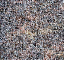 Ковролин AW Sierra 98 фото 1 | FLOORDEALER