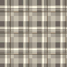 Ковролин Agnella Natural Pane Light Grey фото 1 | FLOORDEALER