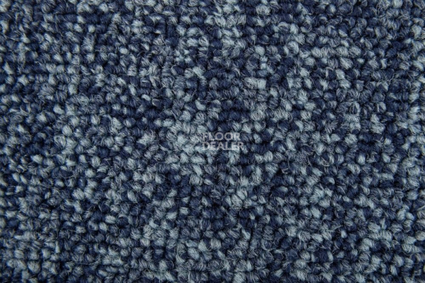 Ковровая плитка Standard Carpets Spectrum sm 555 фото 1 | FLOORDEALER