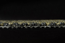 AW Marvel 29 фото 3 | FLOORDEALER