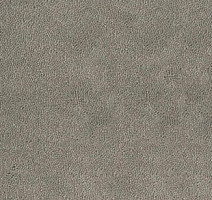 Ковролин Desso Asteranne 9536 фото 1 | FLOORDEALER