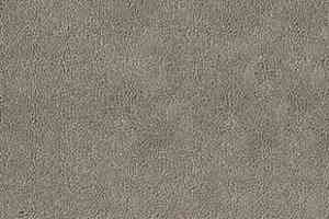 Ковролин Desso Asteranne 9536 фото  | FLOORDEALER