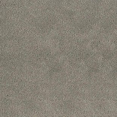 Ковролин Desso Asteranne 9536 фото 1 | FLOORDEALER