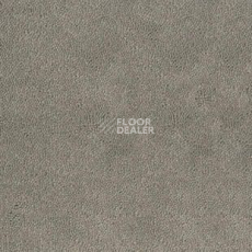 Ковролин Desso Asteranne 9536 фото 1 | FLOORDEALER
