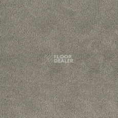 Ковролин Desso Asteranne 9536 фото 1 | FLOORDEALER