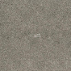 Desso Asteranne 9536 фото 1 | FLOORDEALER