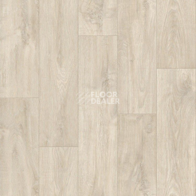 Линолеум Tarkett Legend Archer 2 фото 1 | FLOORDEALER