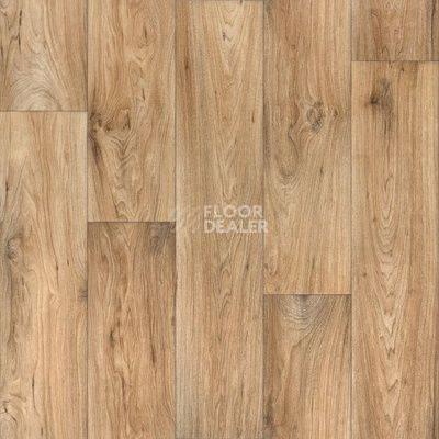 Линолеум Tarkett Evolution Wagner 2 фото 1 | FLOORDEALER