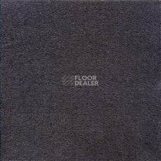 Ковролин Sintelon Eden 31530 фото 1 | FLOORDEALER