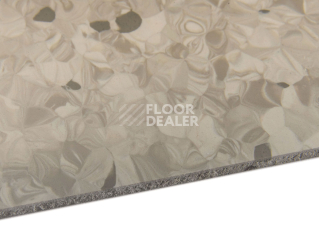 Tarkett Primo Plus 313 фото 4 | FLOORDEALER
