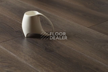Kronopol Aurum Vision 3330 Desert Tree фото 5 | FLOORDEALER