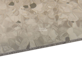 Tarkett Primo Plus 313 фото 4 | FLOORDEALER