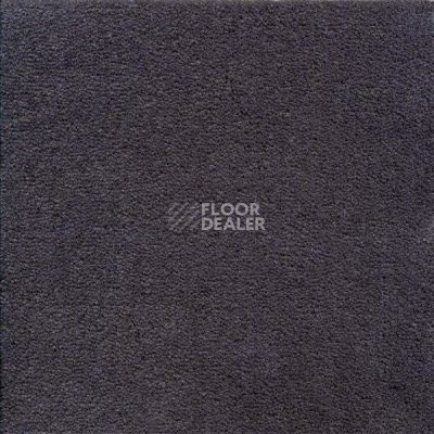 Ковролин Sintelon Eden 31530 фото 1 | FLOORDEALER