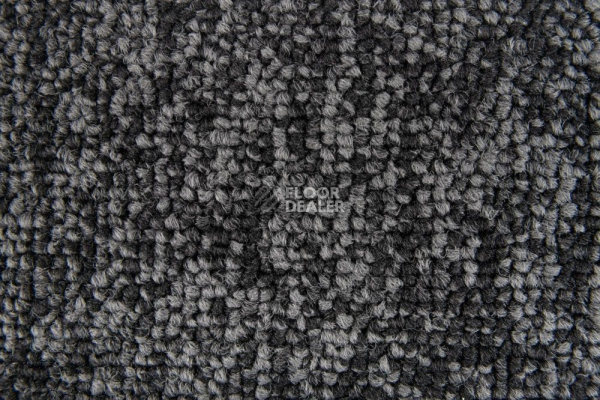 Ковровая плитка Standard Carpets Spectrum sm 579 фото 1 | FLOORDEALER