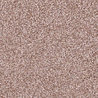 Ковровая плитка Balsan Ultrasoft Planks 520 фото 1 | FLOORDEALER