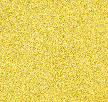 Ковролин ITC Carpe Diem Carpe Diem 050 фото 1 | FLOORDEALER