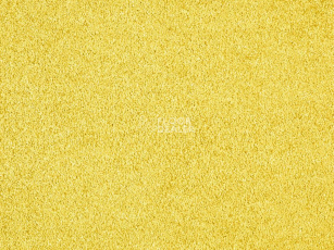 Ковролин ITC Carpe Diem Carpe Diem 050 фото 1 | FLOORDEALER