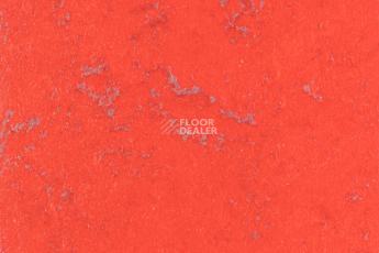 Forbo Marmoleum Solid Concrete 3743-374335 red glow фото 1 | FLOORDEALER