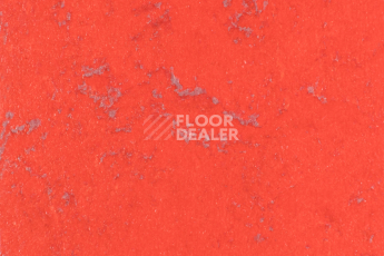 Линолеум Forbo Marmoleum Solid Concrete 3743-374335 red glow фото 1 | FLOORDEALER