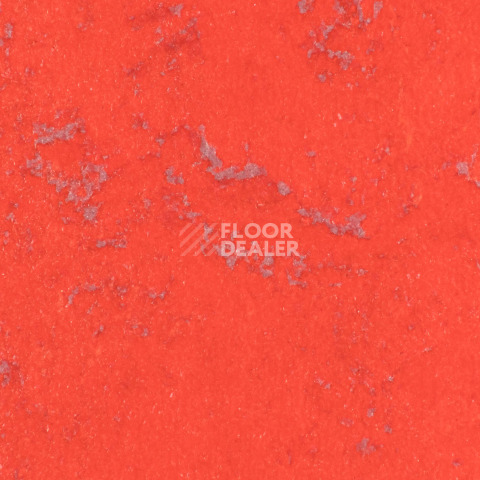 Линолеум Forbo Marmoleum Solid Concrete 3743-374335 red glow фото 1 | FLOORDEALER