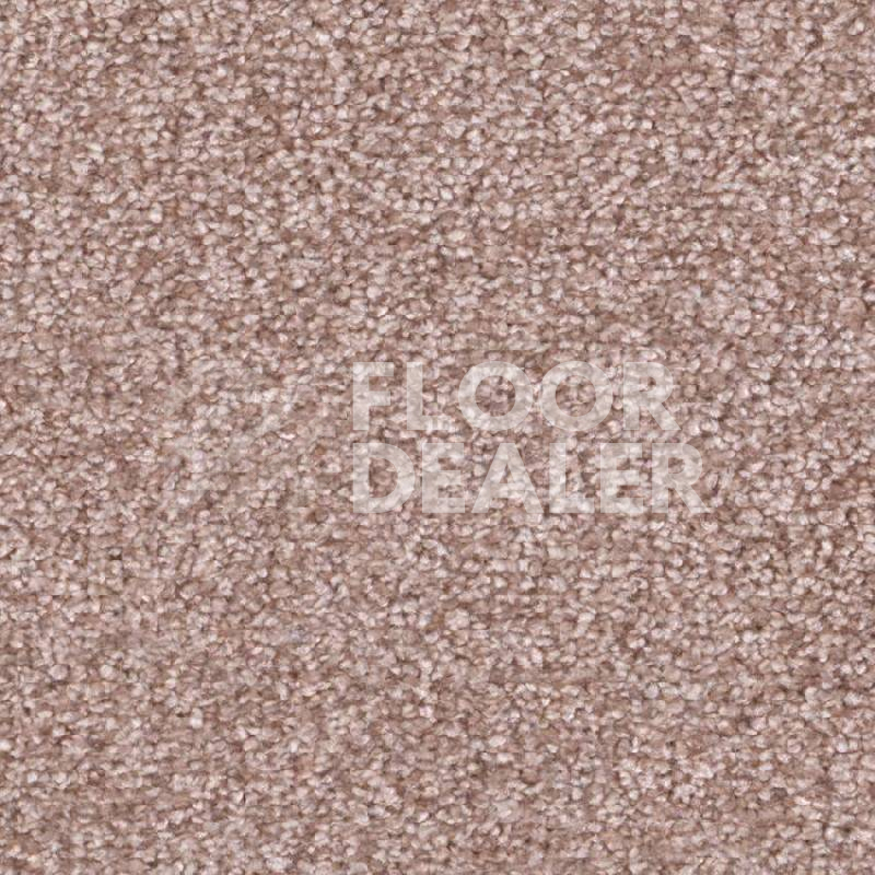 Ковровая плитка Balsan Ultrasoft Planks 520 фото 1 | FLOORDEALER