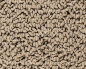 Best Wool Pure Royal Marquis 119 фото 1 | FLOORDEALER