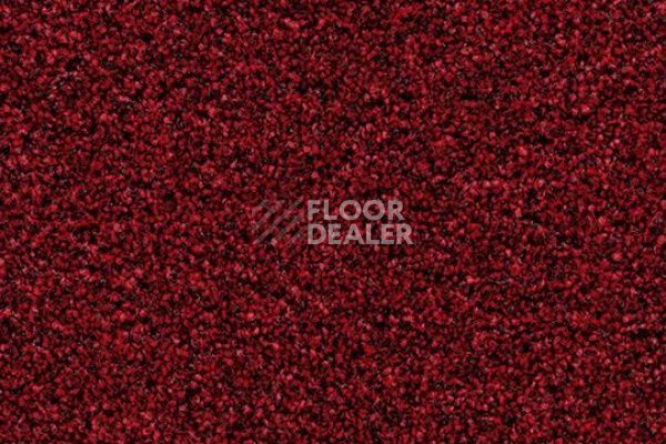 Грязезащитные покрытия Forbo Coral в плитке 2603 vivid earth фото 1 | FLOORDEALER