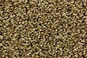 Ковролин Edel Chavelli 164 фото  | FLOORDEALER