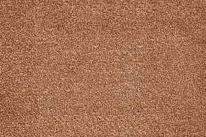 Ковролин AW Ganges 80 фото  | FLOORDEALER