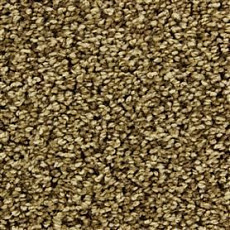 Ковролин Edel Chavelli 164 фото 1 | FLOORDEALER