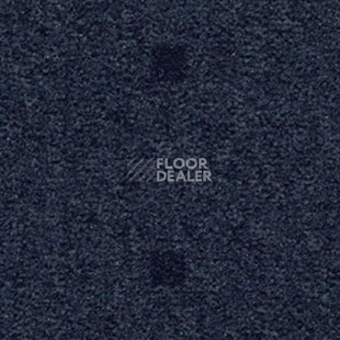 Ковролин Vorwerk Passion 1045 Vorwerk 3q21 фото 1 | FLOORDEALER